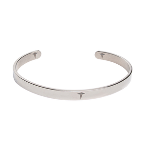 Mercury Silver