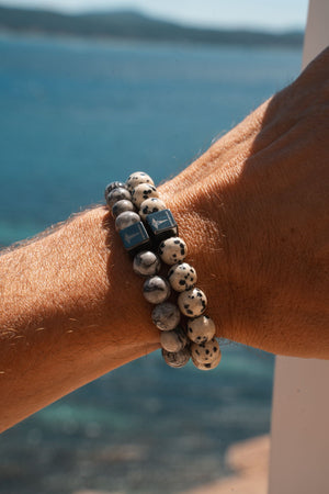 Dalmatian Jasper