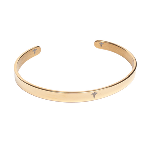 Apollo Gold