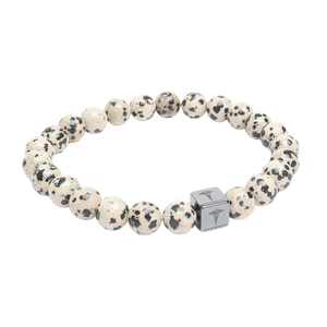 Dalmatian Jasper